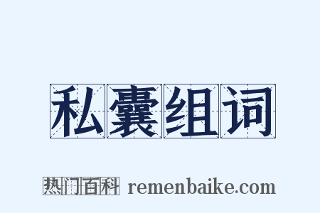 私囊组词是什么意思的图片